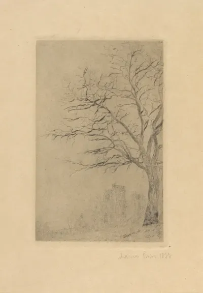 Acacia 2