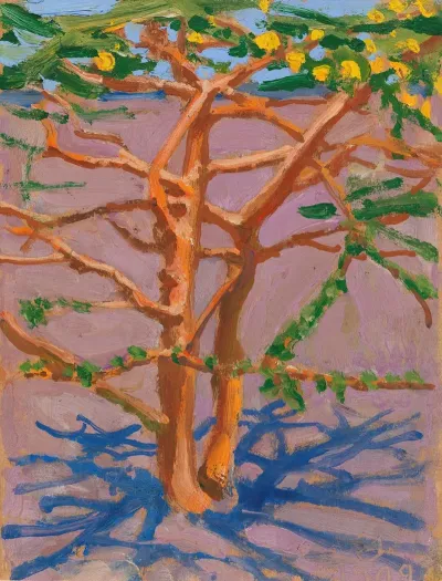 Acacia On The Savannah
