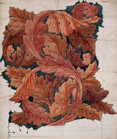 Acanthus