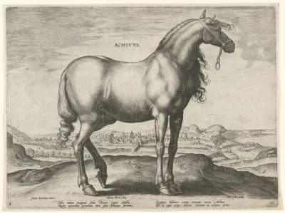 Achivus