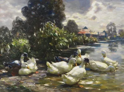 Acht Enten Am Wasser