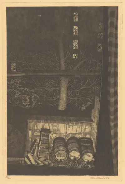 Achtertuin Bij Nacht