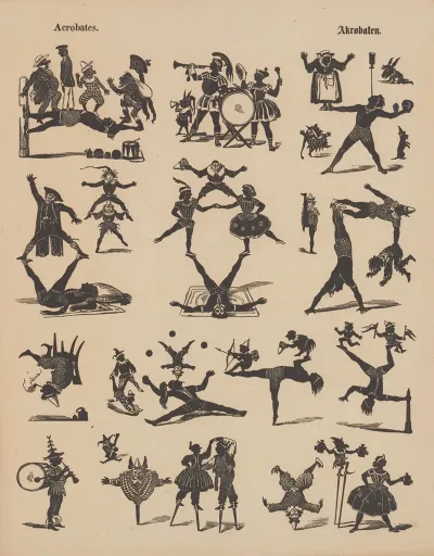 Acrobates 2
