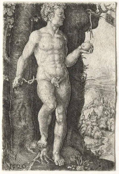 Adam 5