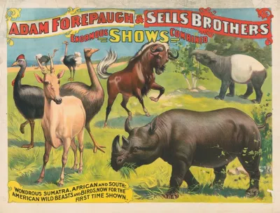 Adam Forepaugh Sells Brothers Enormous Shows Combined Wondrous Sumatra African And South American Wild Beasts And Birds