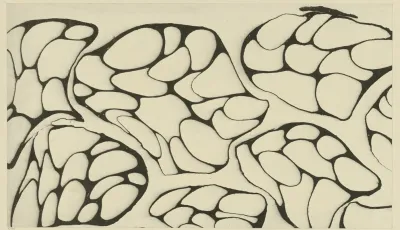 Adermarmorpapier 2