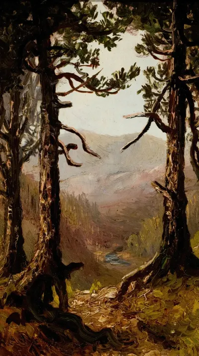 Adirondack Landscape
