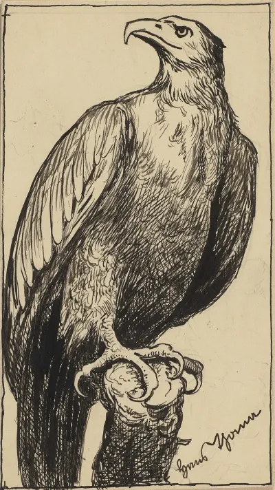 Adler 6