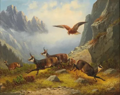 Adler Auf Gemsenjagd