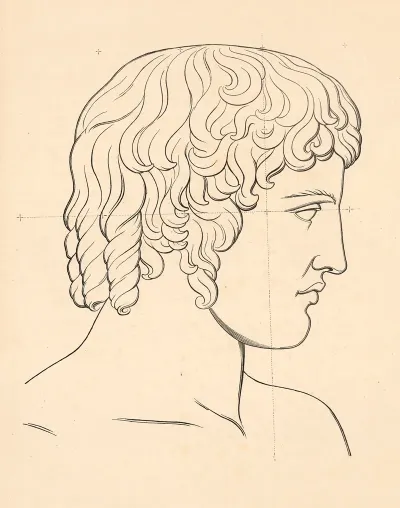 Adonis Head