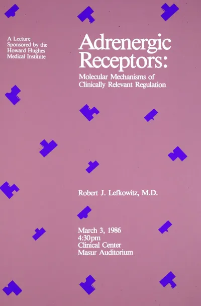 Adrenergic Receptors Molecular Mechanisms Of Clinically Relevant Regulation