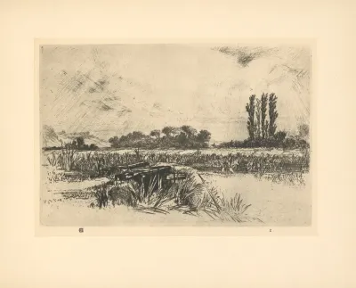 A water meadow