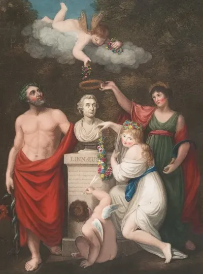 Aesculapius Ceres And Cupid Honouring The Bust Of Linnaeus