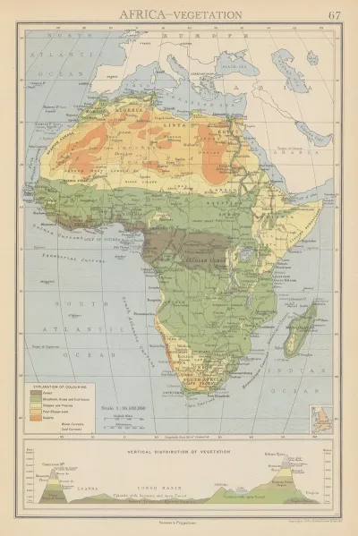 Africa Vegetation