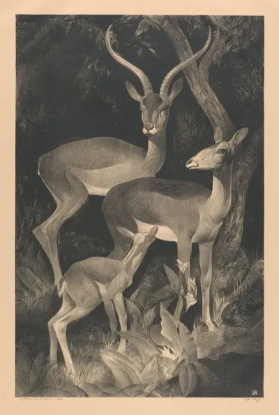 African Goats