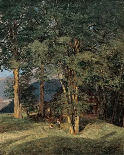 Ahornbaume Bei Ischl