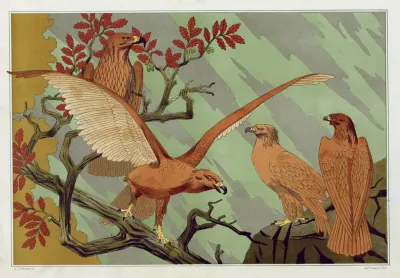 Aigles