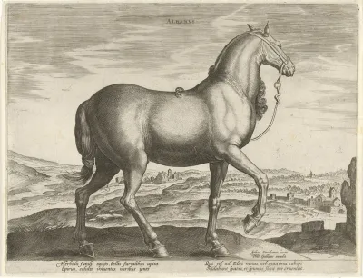 Albanus