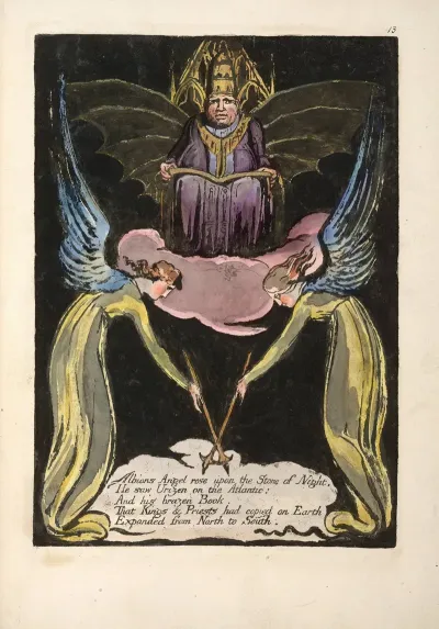 Albions Angel Rose