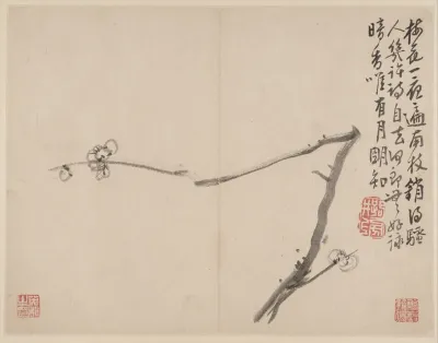 Album Of Blossoming Plum Pl 2