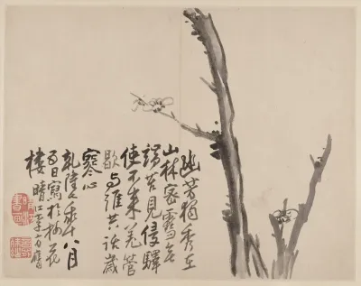 Album Of Blossoming Plum Pl 8