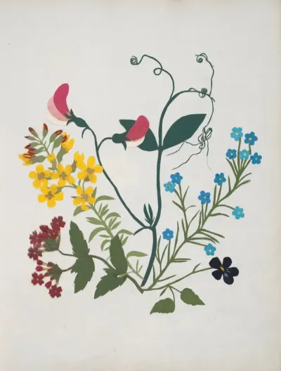 Album Of Cut Paper Flowers Pl 01