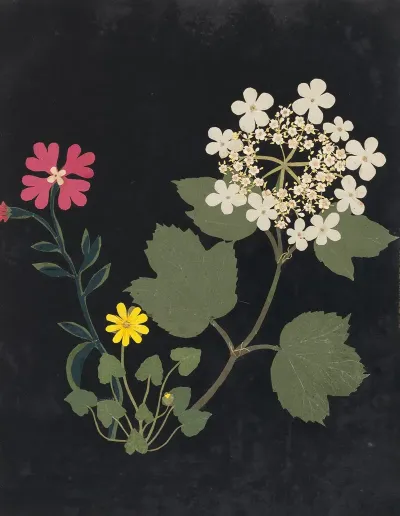 Album Of Cut Paper Flowers Pl 03
