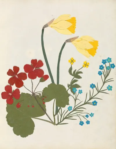 Album Of Cut Paper Flowers Pl 05