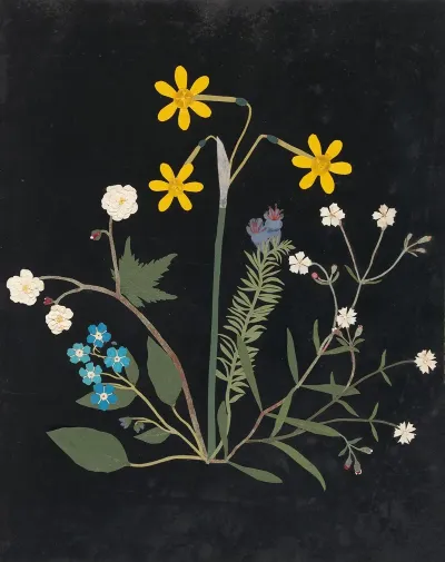 Album Of Cut Paper Flowers Pl 06