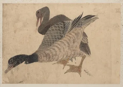 Album Of Sketches By Katsushika Hokusai And His Disciples Pl 37