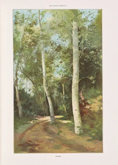 Album Salon Pl 21