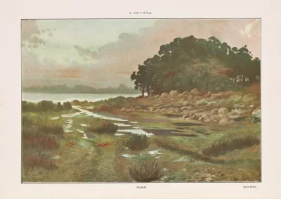 Album Salon Pl 30