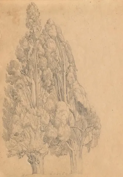 Album With Views Of Rome And Surroundings Landscape Studies Page 13a Trees
