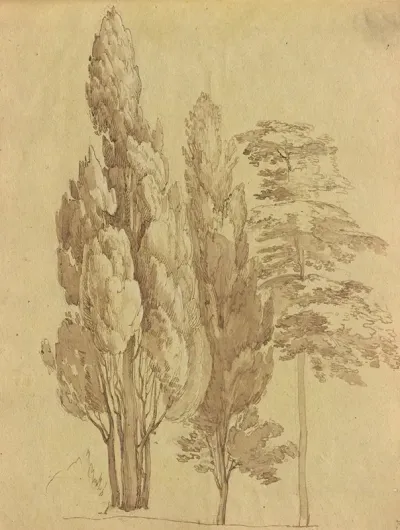 Album With Views Of Rome And Surroundings Landscape Studies Page 15a Trees