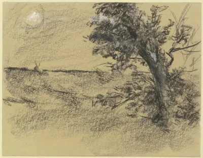 Alder At The Edge Of A Meadow