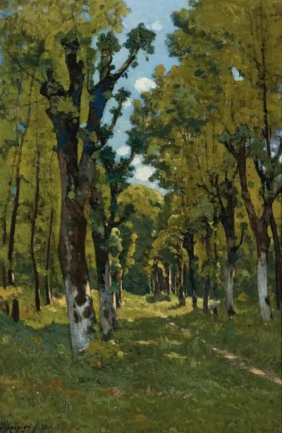 Alle Des Tilleuls A Saint Prive Yonne Sunlit Woodland Path
