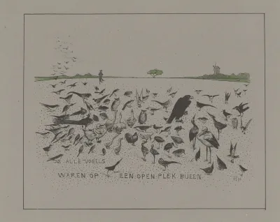 Alle Vogels Waren Op Een Open Plek Bijeen