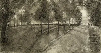 Allee Bordee Darbres Dans Un Parc