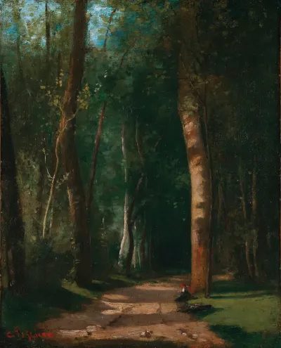 Allee Dans Une Foret