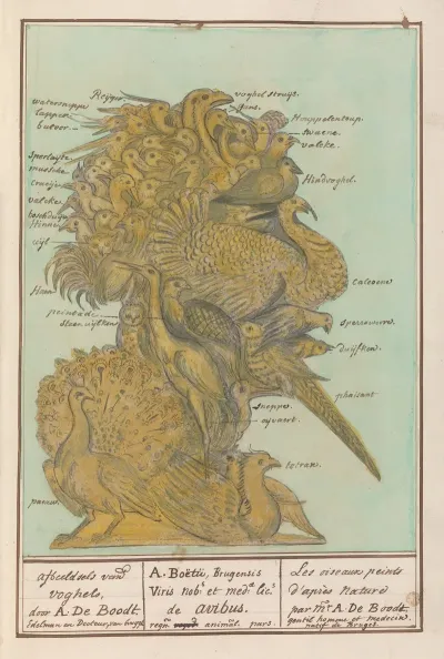 Allegorie Van De Lucht
