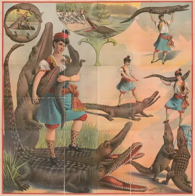 Alligator Act