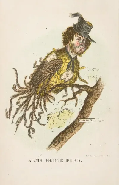 Alms House Bird
