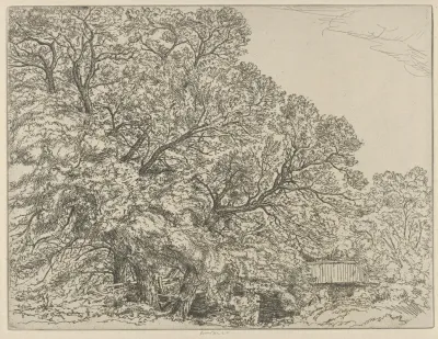 Alna Willows