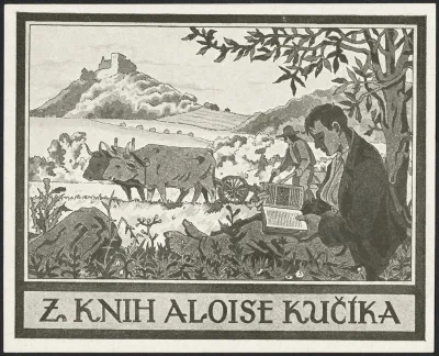 Aloise Kucika