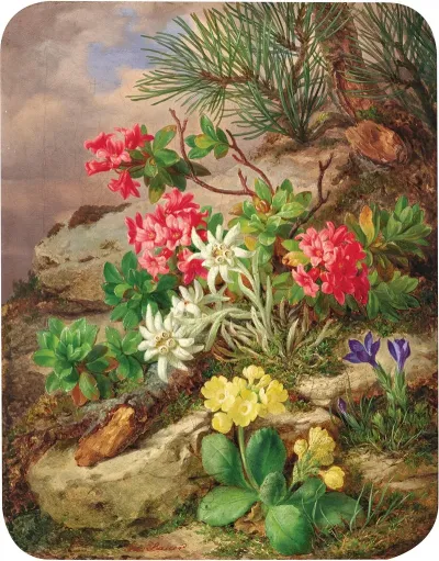 Alpenblumen 6