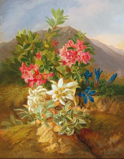 Alpine Flowers 4