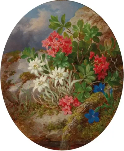 Alpine Flowers 5