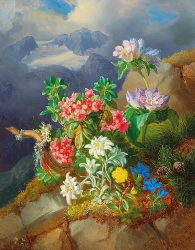 Alpine Flowers