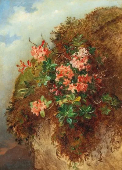 Alpine Rose On A Mountain Slope
