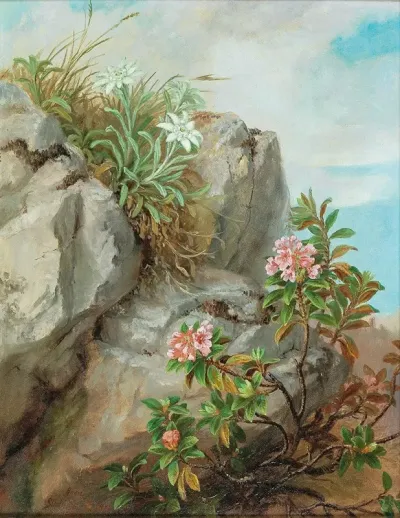 Alpine Roses